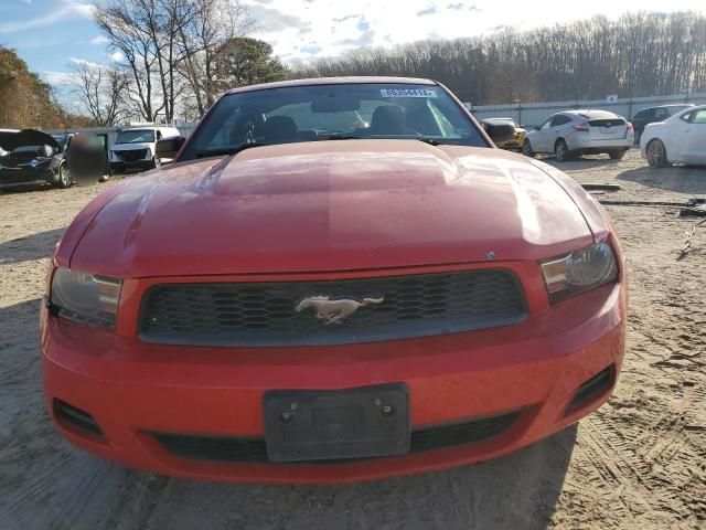 2010 Ford Mustang