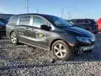 2018 Honda Odyssey EXL