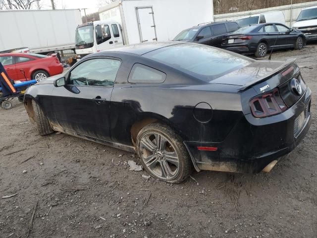 2013 Ford Mustang