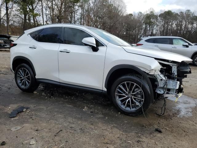 2024 Lexus NX 350H Base