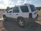 2002 Ford Escape XLT