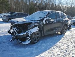 Salvage cars for sale at Cookstown, ON auction: 2024 Ford Escape ST Line