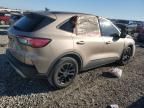 2020 Ford Escape SE Sport