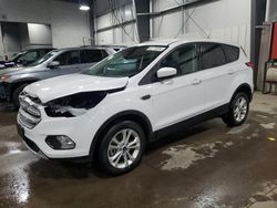 Salvage cars for sale from Copart Ham Lake, MN: 2019 Ford Escape SE