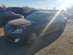 2014 Hyundai Equus Signature en venta en Hillsborough, NJ