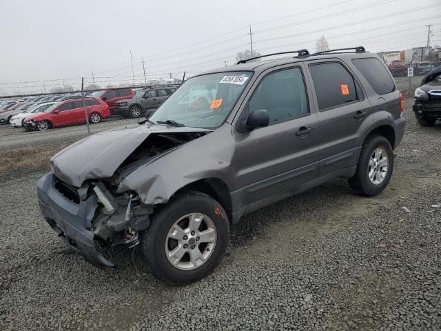 2005 Ford Escape XLT