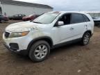 2011 KIA Sorento Base