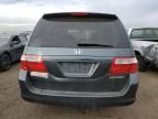 2005 Honda Odyssey EXL