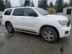 2008 Toyota Sequoia SR5