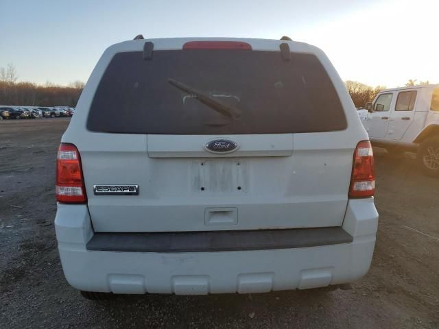 2011 Ford Escape XLT