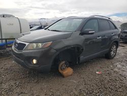 Salvage cars for sale at Magna, UT auction: 2011 KIA Sorento EX