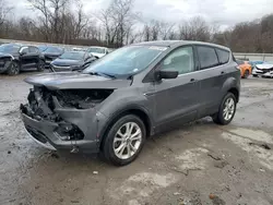 Salvage cars for sale at Ellwood City, PA auction: 2017 Ford Escape SE