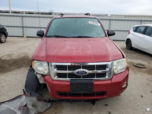 2011 Ford Escape XLT