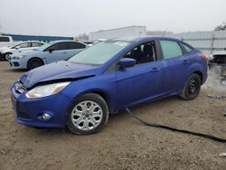 Ford Focus salvage cars for sale: 2012 Ford Focus SE