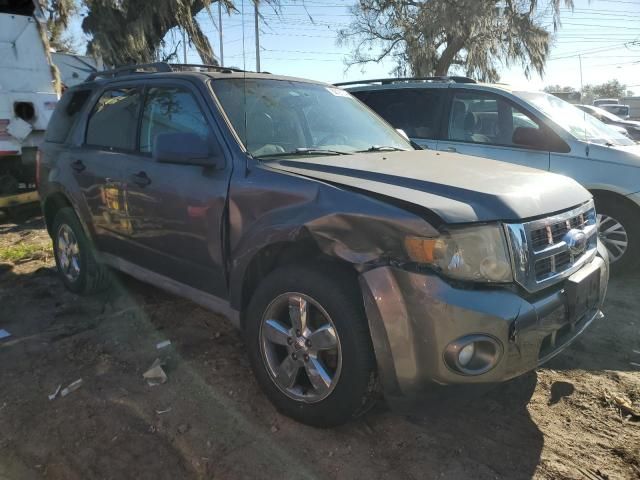 2009 Ford Escape XLT