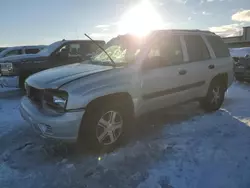 Salvage cars for sale at Wayland, MI auction: 2005 Chevrolet Trailblazer LS