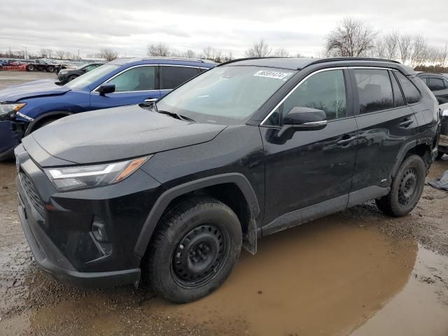 2024 Toyota Rav4 XLE