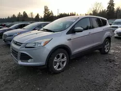 Vehiculos salvage en venta de Copart Graham, WA: 2013 Ford Escape SE