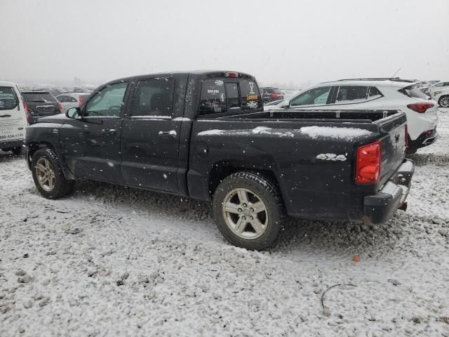 2011 Dodge Dakota SLT