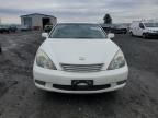 2004 Lexus ES 330