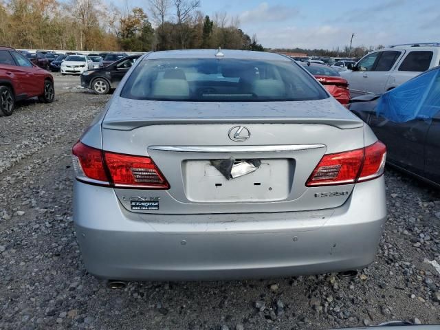 2010 Lexus ES 350