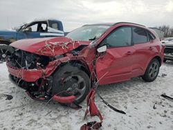 Salvage cars for sale at Wayland, MI auction: 2024 Ford Escape ST Line