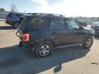 2009 Ford Escape Limited