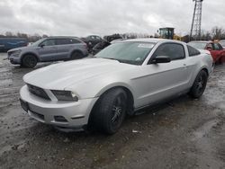 Ford salvage cars for sale: 2012 Ford Mustang