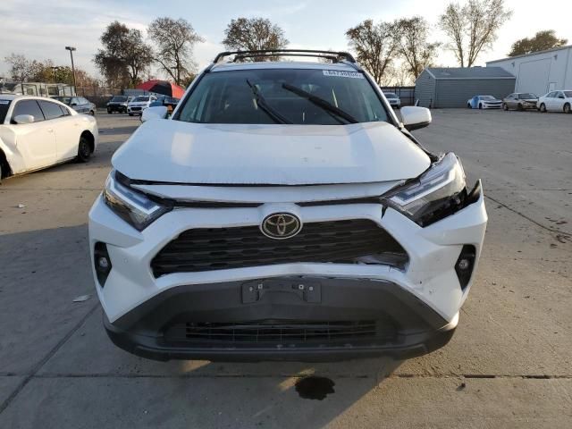 2023 Toyota Rav4 XLE Premium