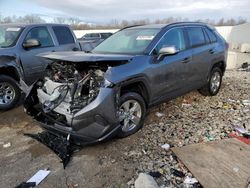 Vehiculos salvage en venta de Copart Louisville, KY: 2024 Toyota Rav4 XLE