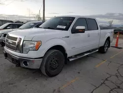 Salvage SUVs for sale at auction: 2011 Ford F150 Supercrew