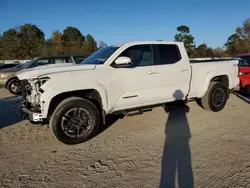 Salvage cars for sale at Hampton, VA auction: 2024 Toyota Tacoma Double Cab