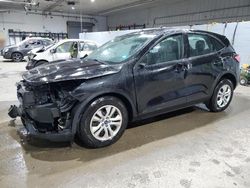 Salvage cars for sale at Candia, NH auction: 2020 Ford Escape S