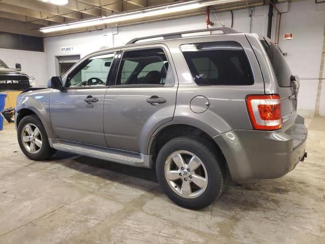 2009 Ford Escape XLT