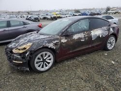 Salvage cars for sale from Copart Antelope, CA: 2021 Tesla Model 3