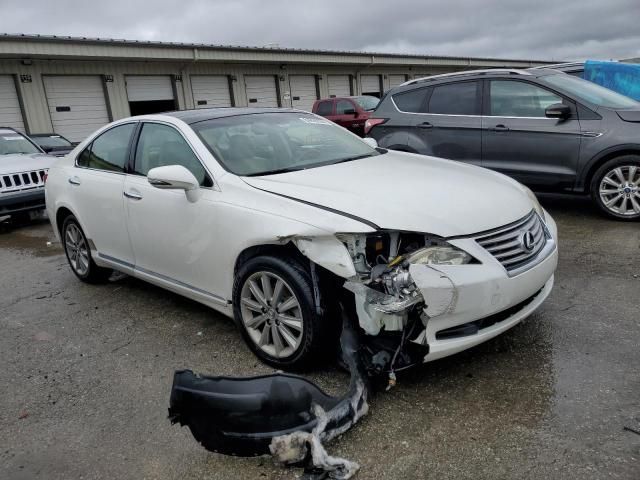 2010 Lexus ES 350