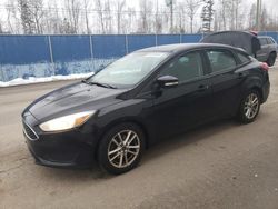 Ford salvage cars for sale: 2016 Ford Focus SE