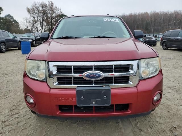 2008 Ford Escape XLT