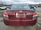 2011 Honda Accord LXP