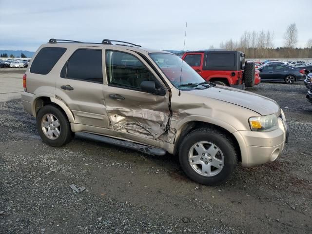 2007 Ford Escape XLT