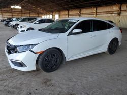 Salvage cars for sale at Phoenix, AZ auction: 2020 Honda Civic LX