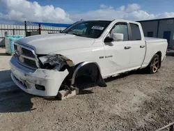 Salvage cars for sale at Arcadia, FL auction: 2009 Dodge RAM 1500