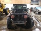 2006 Jeep Wrangler / TJ Rubicon