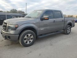 Salvage cars for sale from Copart Orlando, FL: 2014 Ford F150 Supercrew