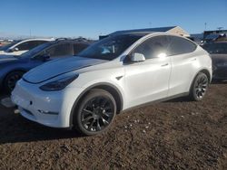 Salvage cars for sale at Brighton, CO auction: 2023 Tesla Model Y