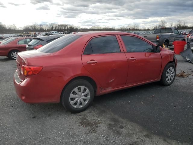 2010 Toyota Corolla Base