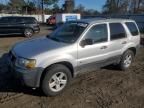 2006 Ford Escape HEV