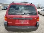 2006 Ford Escape XLT