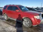 2009 Ford Escape Limited