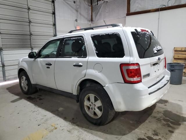 2011 Ford Escape XLT